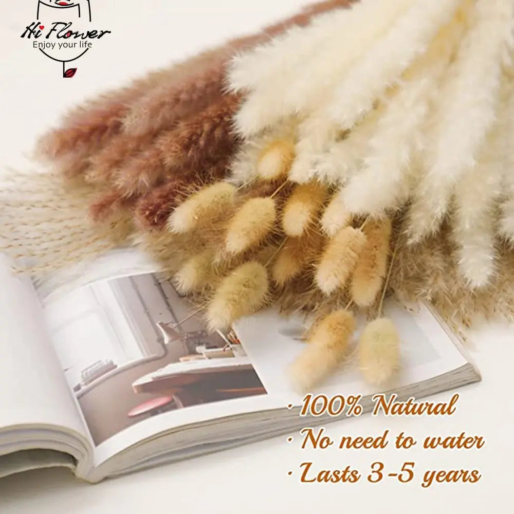 100pcs fluffy Pampas dried flowers bouquet home decor natural rabbit tail grass artificial flower