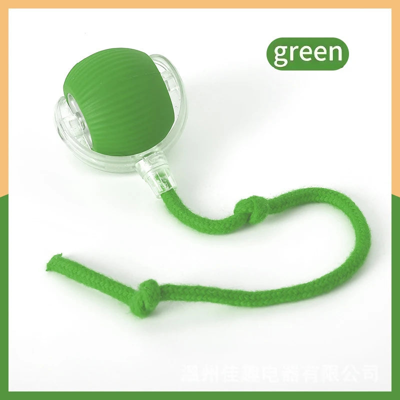 Smart Dog Toy Ball Electronic Interactive USB