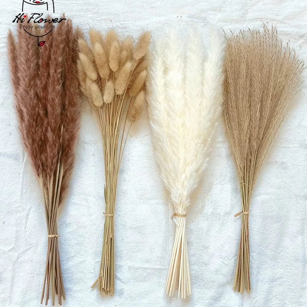 100pcs fluffy Pampas dried flowers bouquet home decor natural rabbit tail grass artificial flower