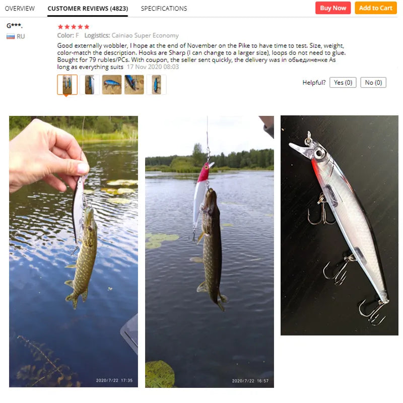 Fishing Baits With a Hook for Catching Pike And Carp