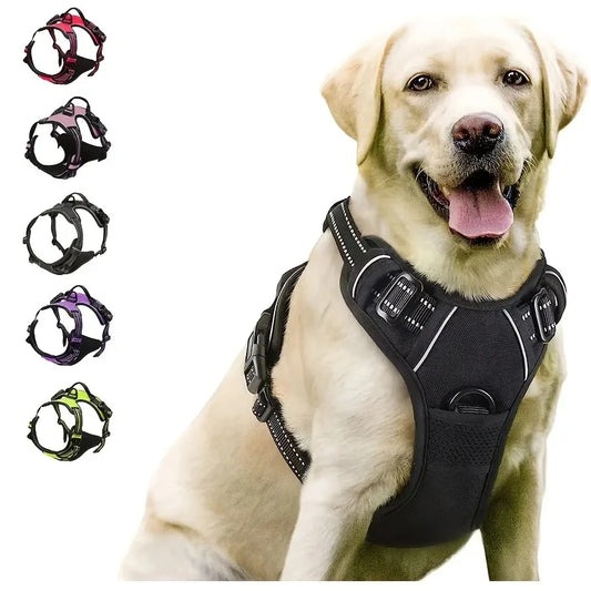 Dog Collars Big Vests Leash Pet