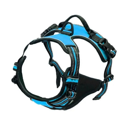 Dog Collars Big Vests Leash Pet
