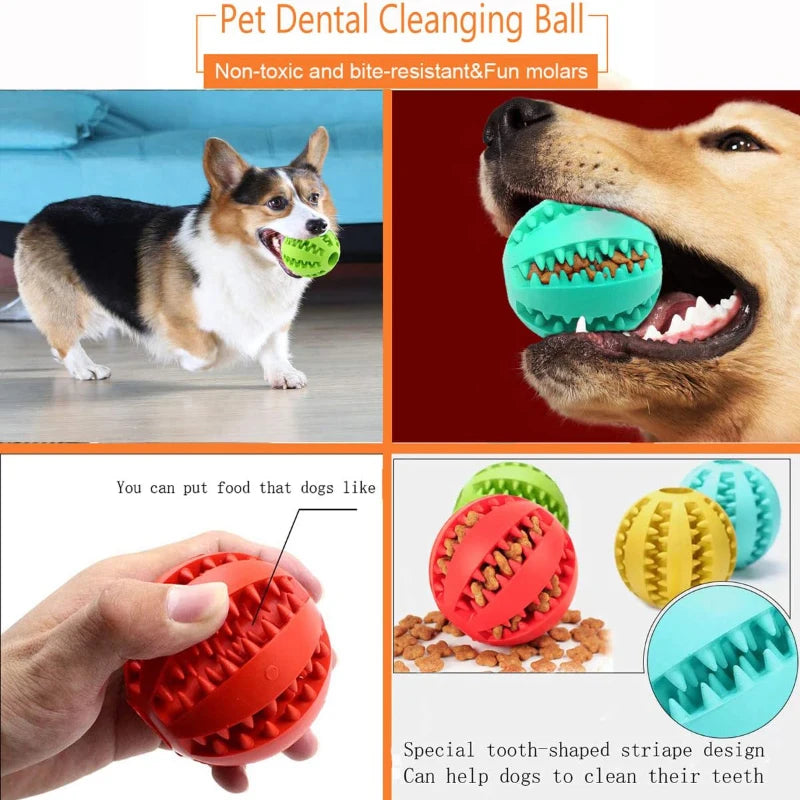 Dog & Cat Toy Ball Interactive Rubber Balls - Himalaya 
