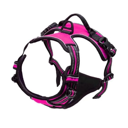 Dog Collars Big Vests Leash Pet