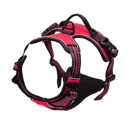 Dog Collars Big Vests Leash Pet