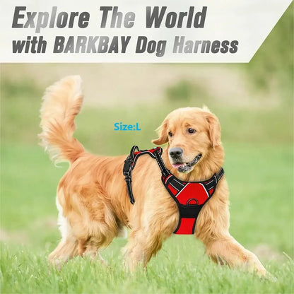 Dog Collars Big Vests Leash Pet