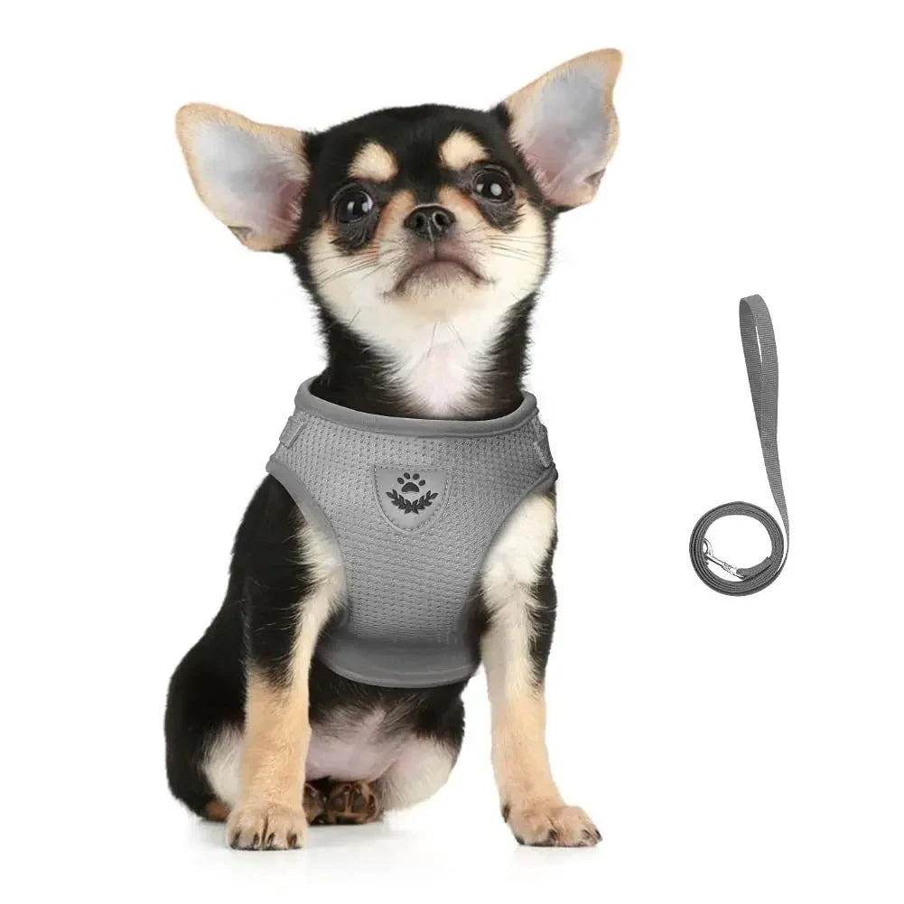 Cat Vests Leash Set Adjustable