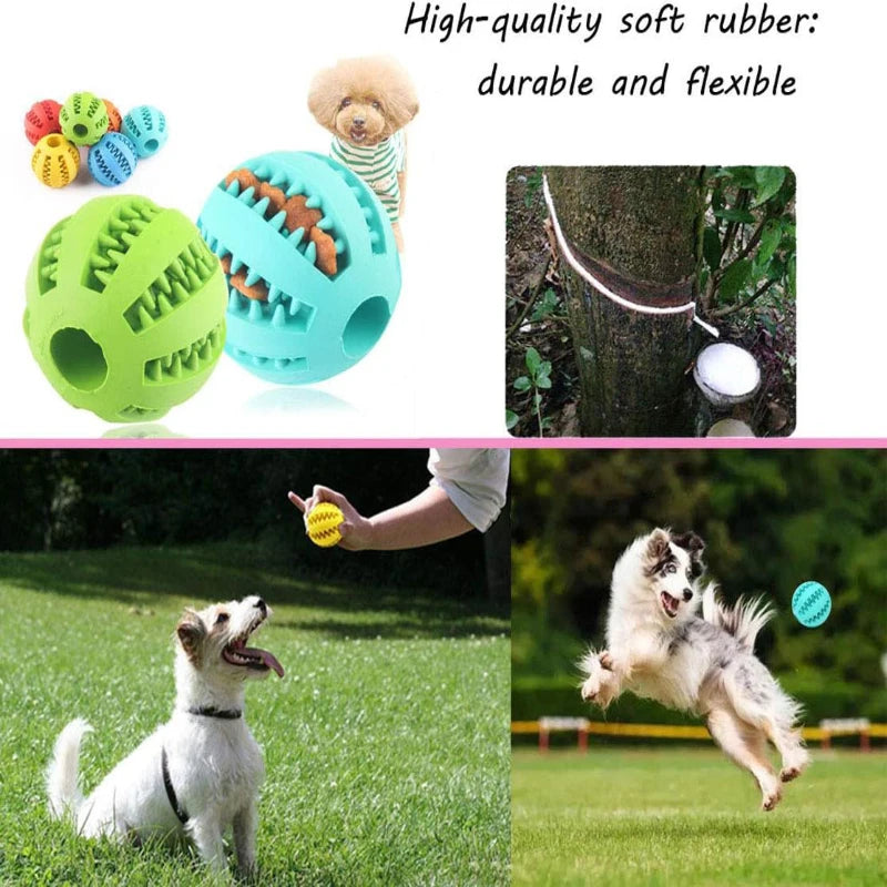 Dog & Cat Toy Ball Interactive Rubber Balls