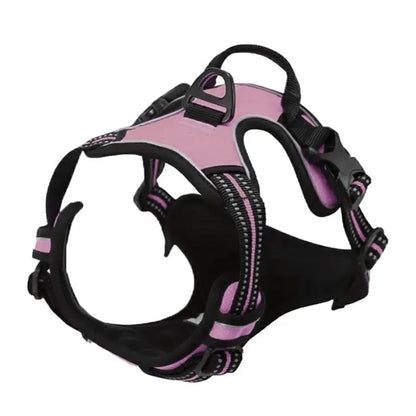 Dog Collars Big Vests Leash Pet