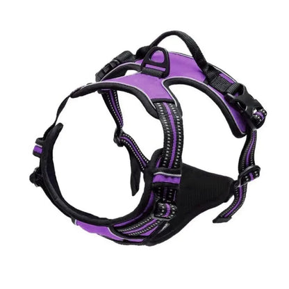 Dog Collars Big Vests Leash Pet