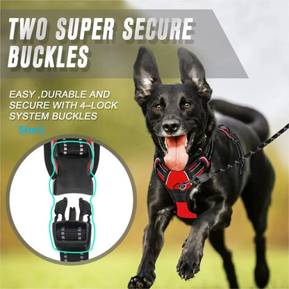 Dog Collars Big Vests Leash Pet