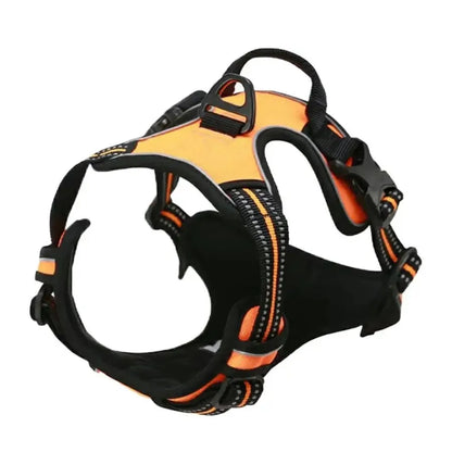 Dog Collars Big Vests Leash Pet