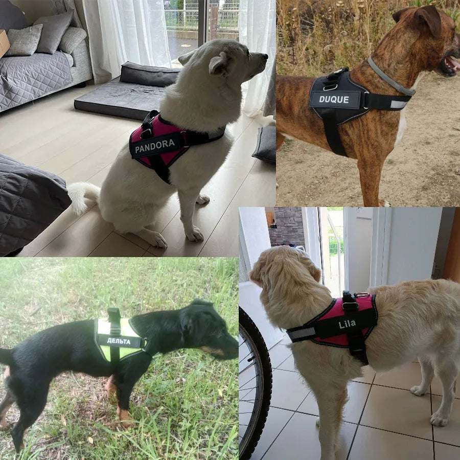 Dog harness jacket ID patch custom reflective breathable adjustable pet harness no pet pulling