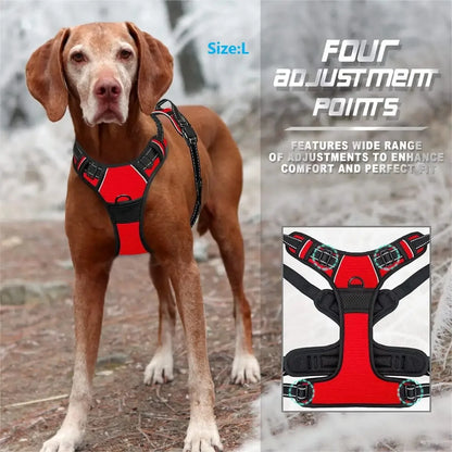 Dog Collars Big Vests Leash Pet