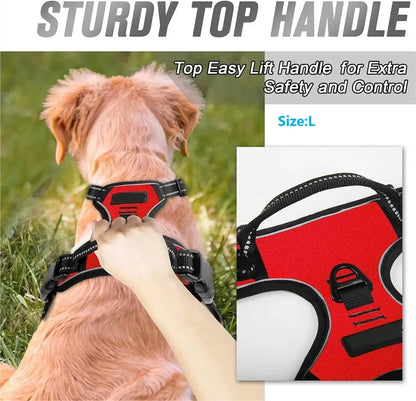 Dog Collars Big Vests Leash Pet